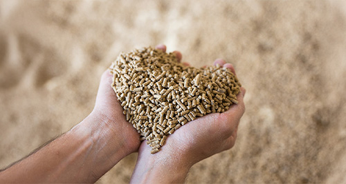 Zwei H&auml;nde formen ein Herz aus kleinen Pellets.